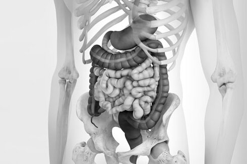 Endoscopia ESD y «Third Space»