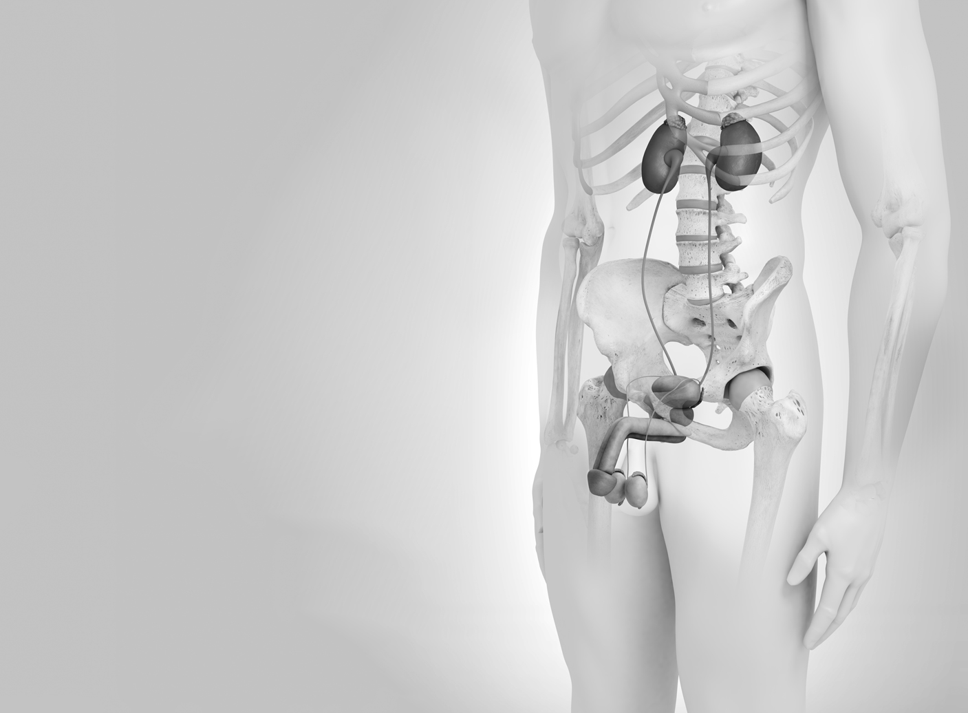 Urología